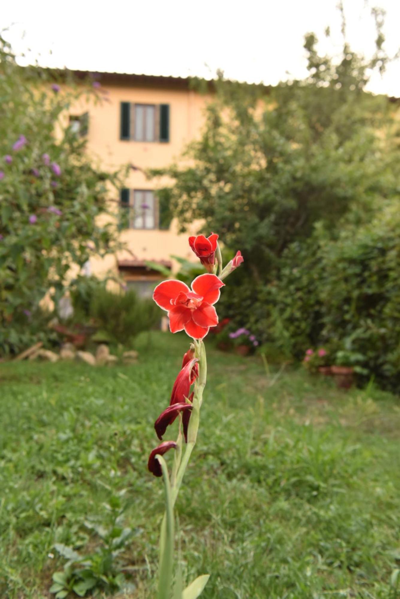 Casa Pina Villa Malmantile ภายนอก รูปภาพ